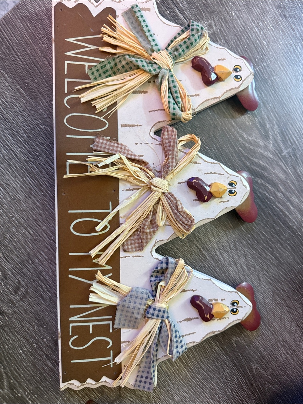 Welcome to My Nest Chicken Trio Wall Sign - White and Brown